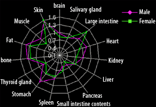 Weight of the tissues and organs of numerical human-body models
