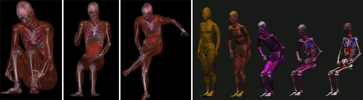 Examples of posture-independent voxel models