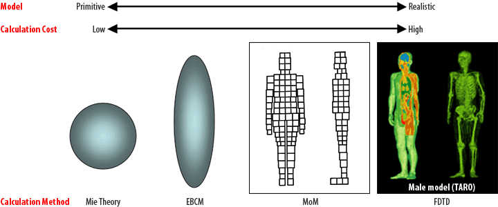 Methods and Models for SAR Dosimetry