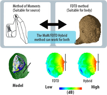 Analysis of the SAR distribution in the human head during mobile phone use