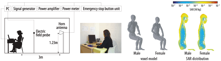 Whole-body exposure system for volunteer experiments