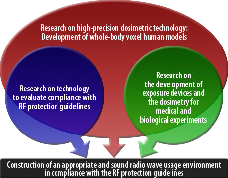Construction of an appropriate and sound radio wave usage environment in compliance with the RF protection guidelines