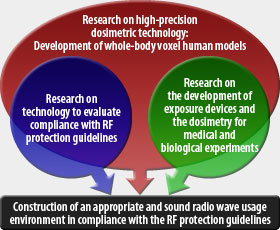 Construction of an appropriate and sound radio wave usage environment in compliance with the RF protection guidelines